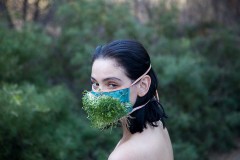 pony-express-video-still