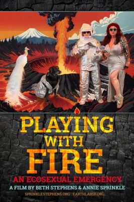 Playing with Fire poster