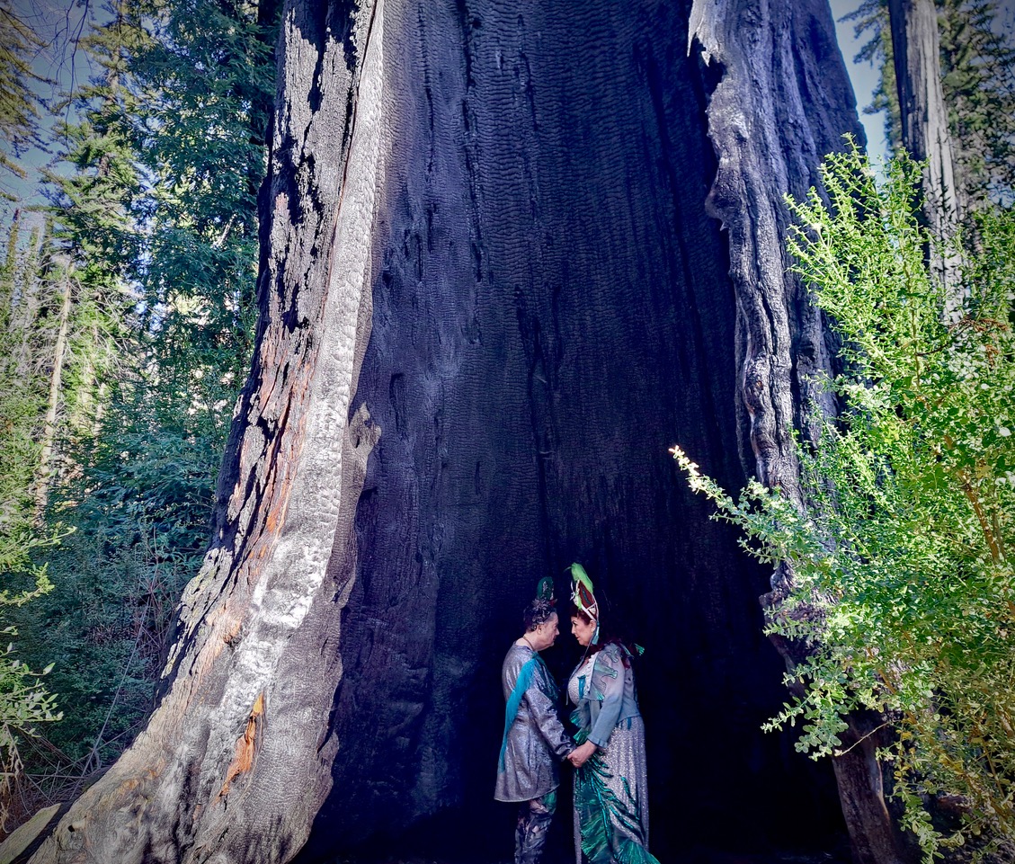 Beth and Annie holding hands inside giant sequoia tree space