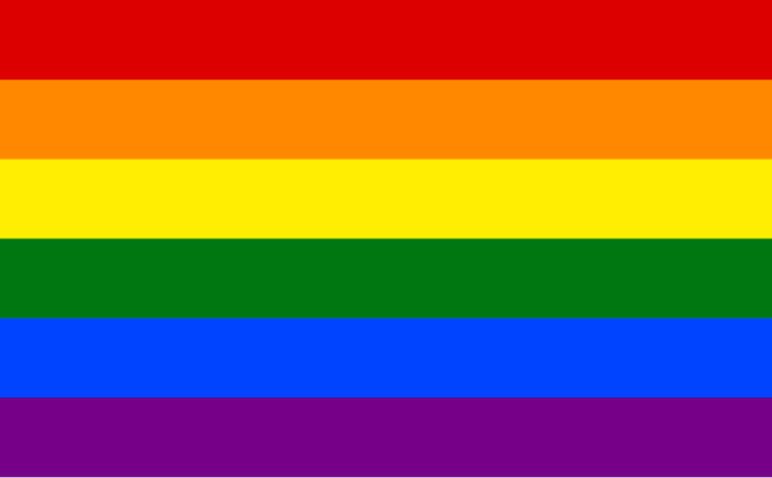 Gay Pride Rainbow Flag